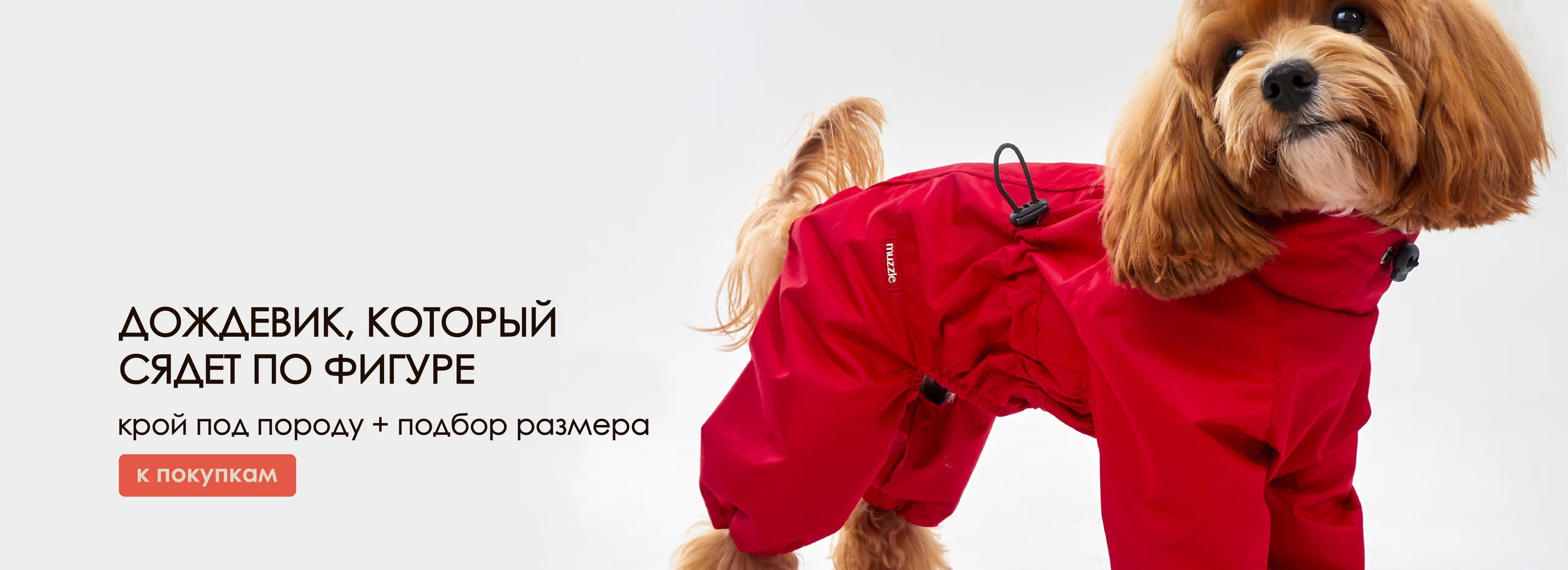 Muzzle website banner: a dog wearing a red raincoat Muzzle website banner: a dog wearing a red raincoat