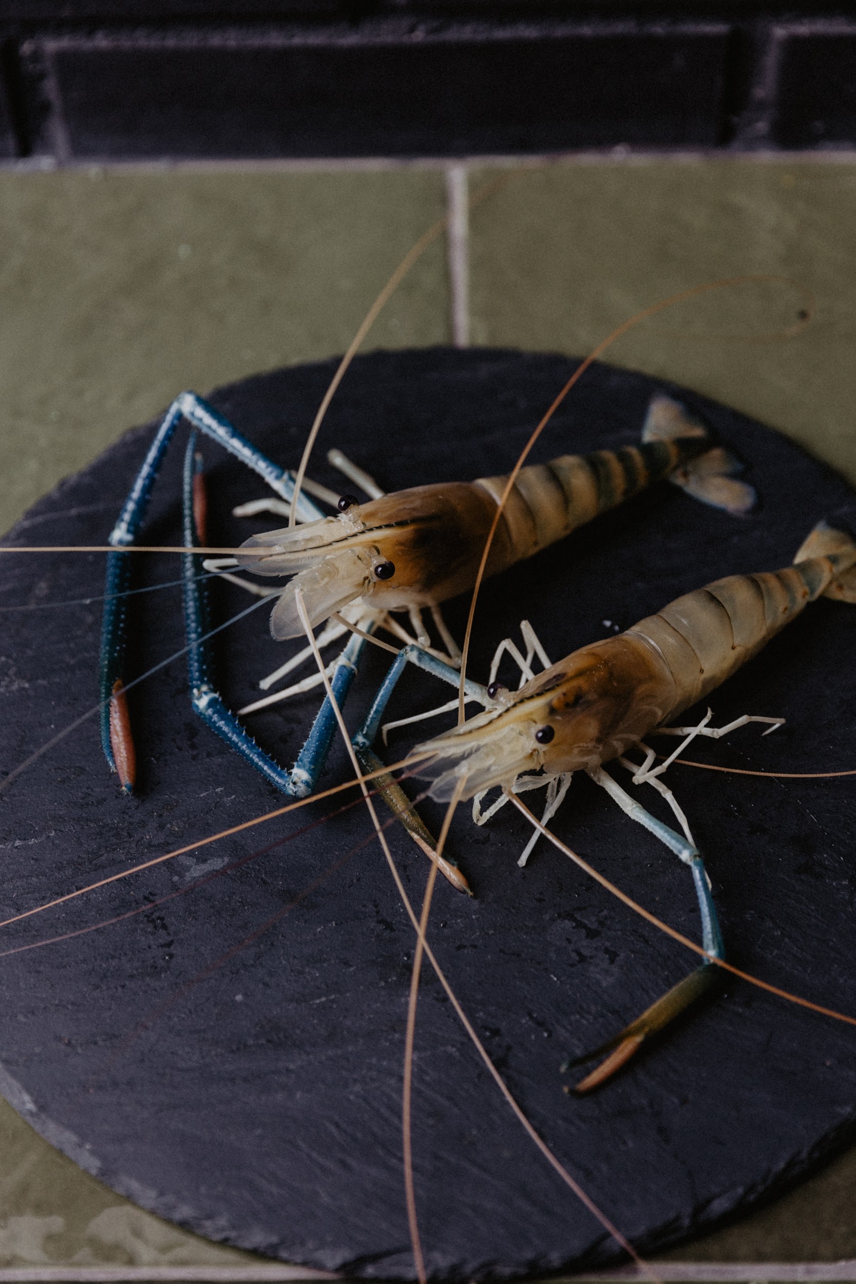 Freshwater prawns from Georgian Royal Shrimp on a slate board