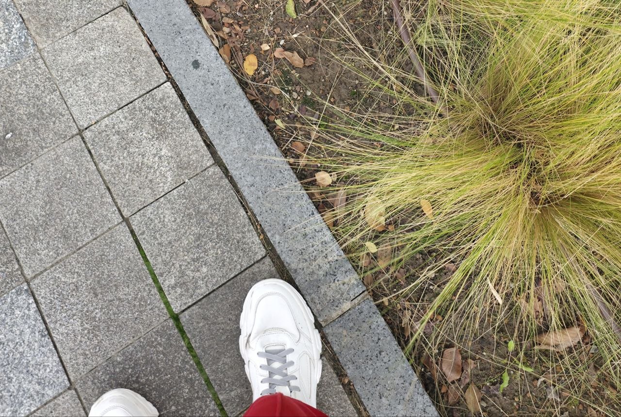 White trainers on a stone path beside ornamental grass White trainers on a stone path beside ornamental grass